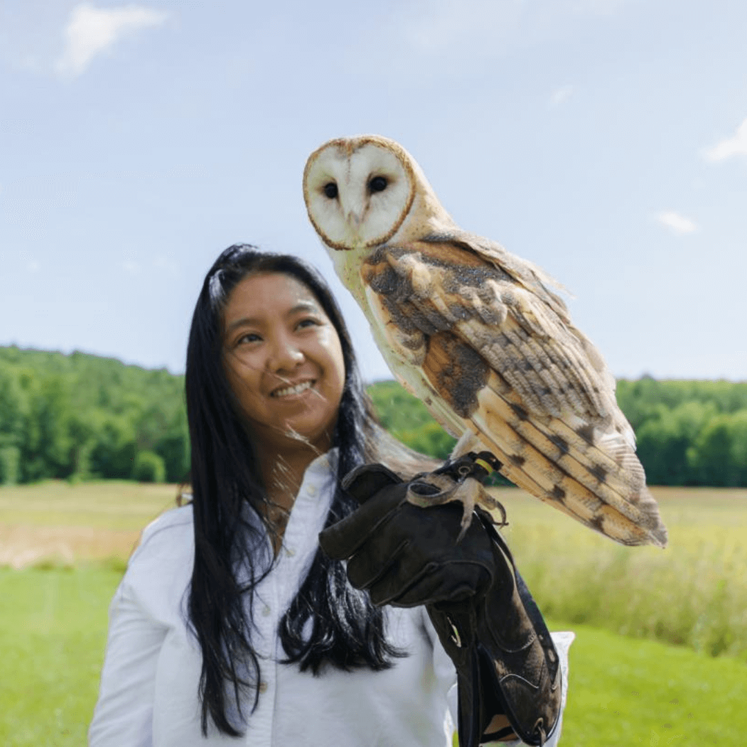 animal image for slider
