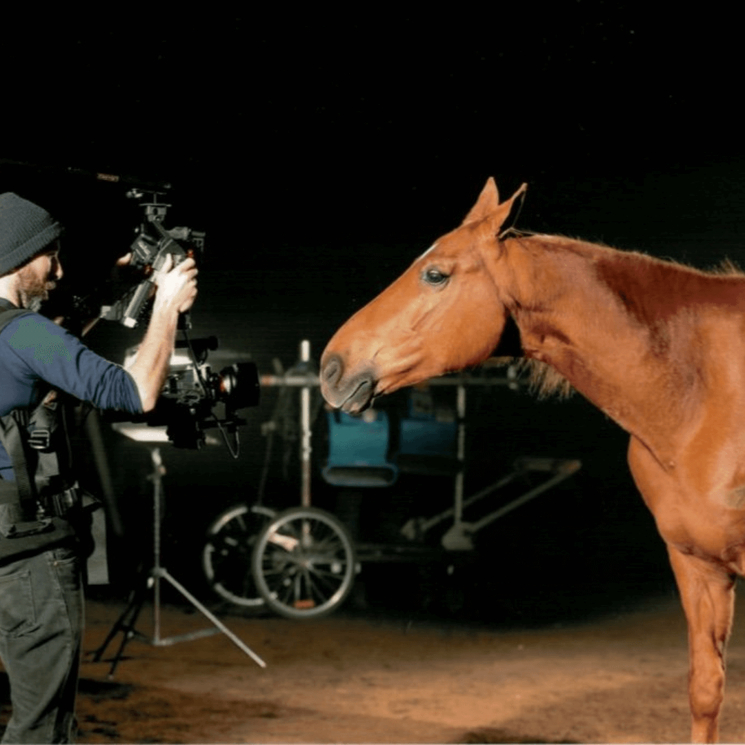 animal image for slider