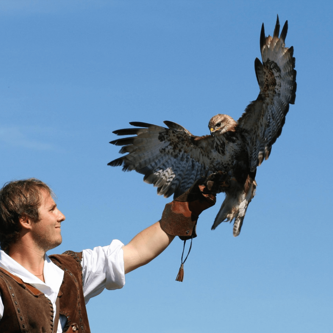 animal image for slider