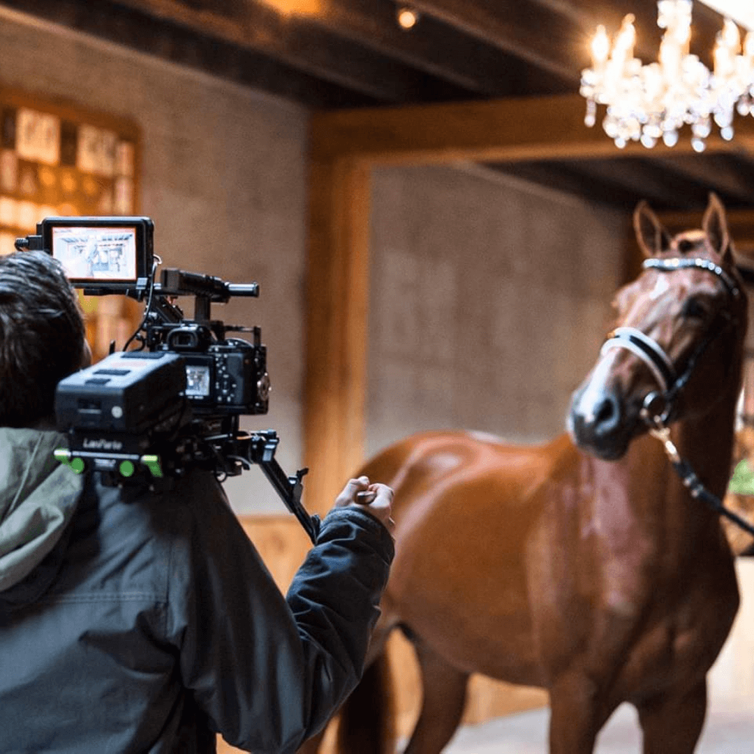 animal image for slider