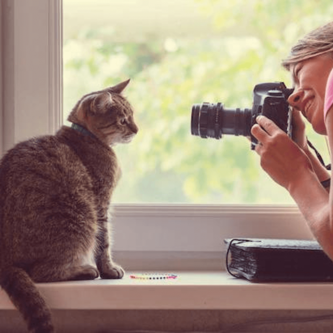 animal image for slider