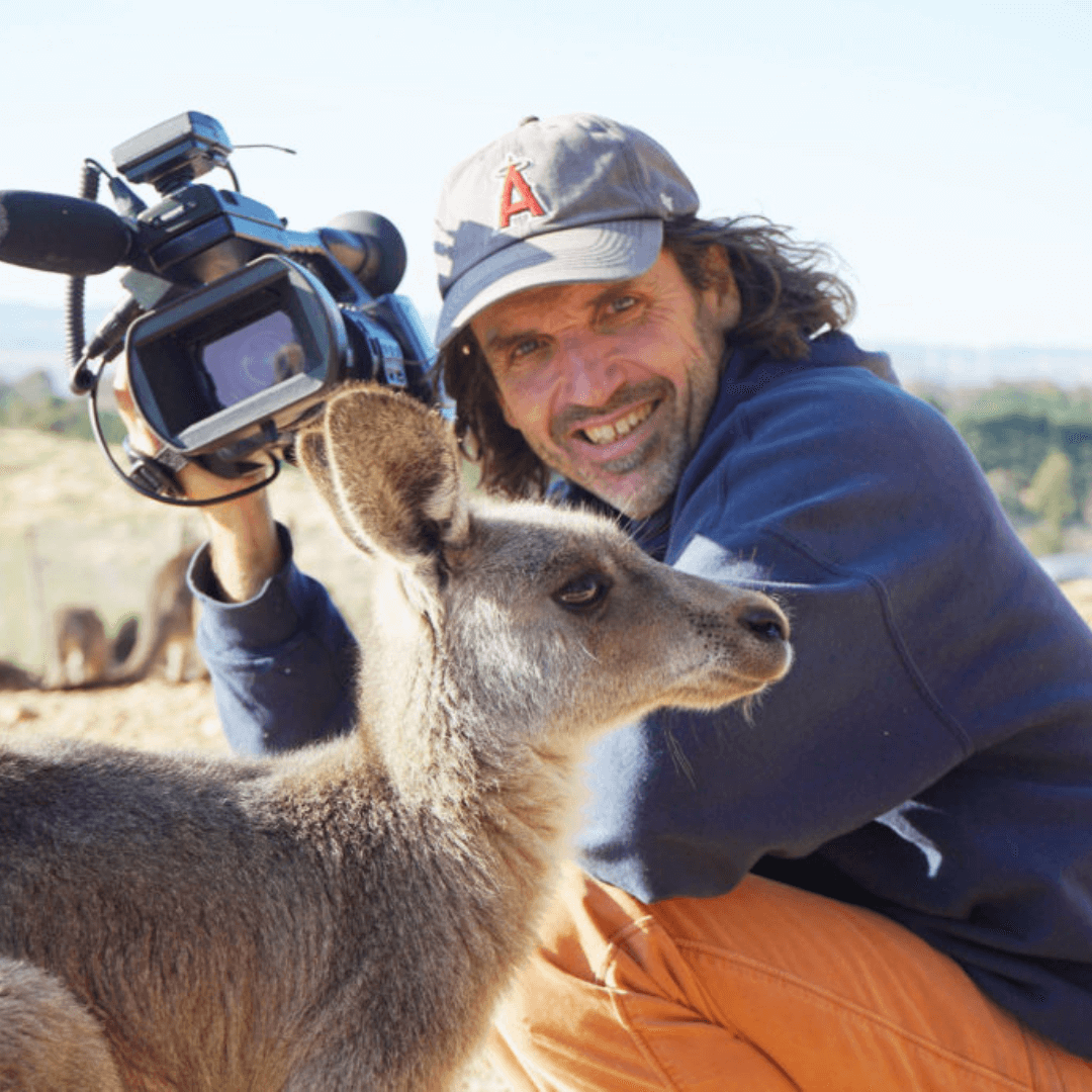 animal image for slider