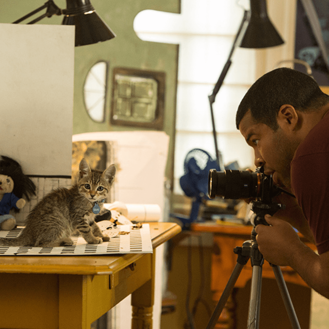 animal image for slider