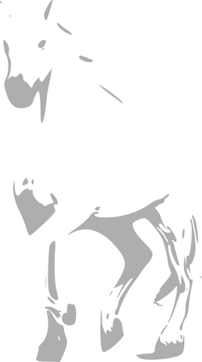 White horse image